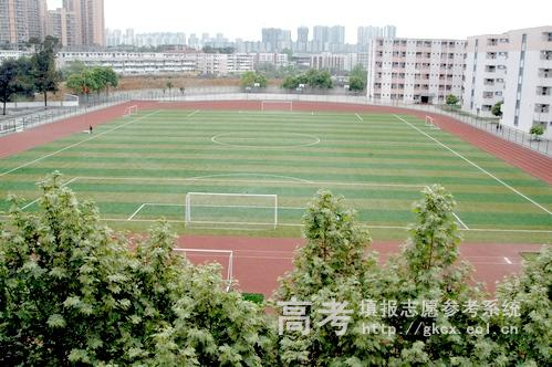四川高考志愿冲稳保比例分配指南