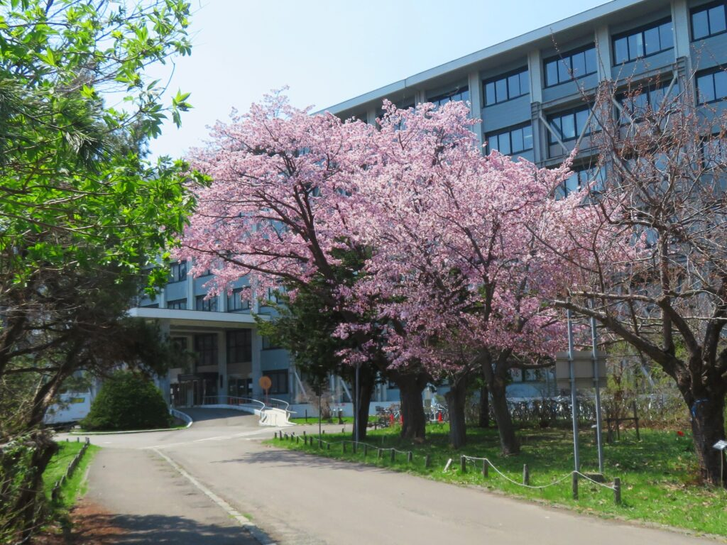日本本科留学全攻略