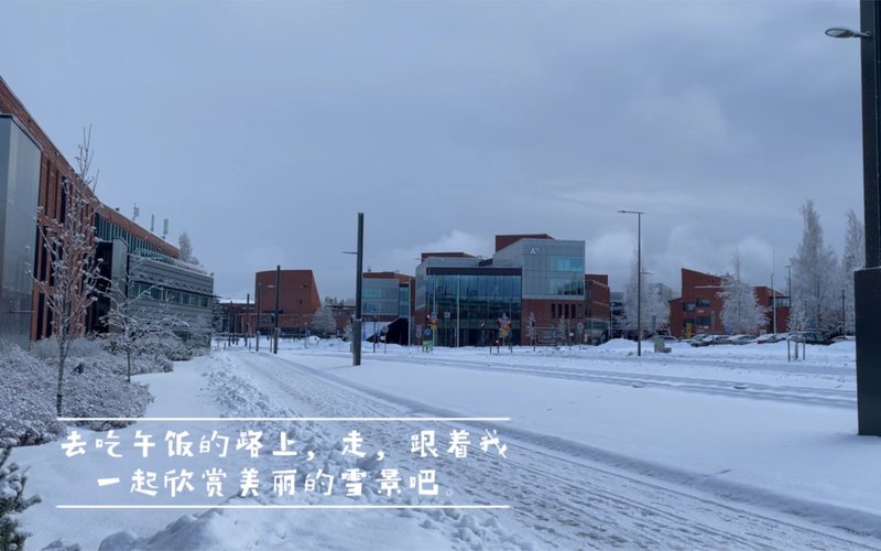 芬兰留学优势解析：免费教育+高福利，成都学子欧洲留学新选择