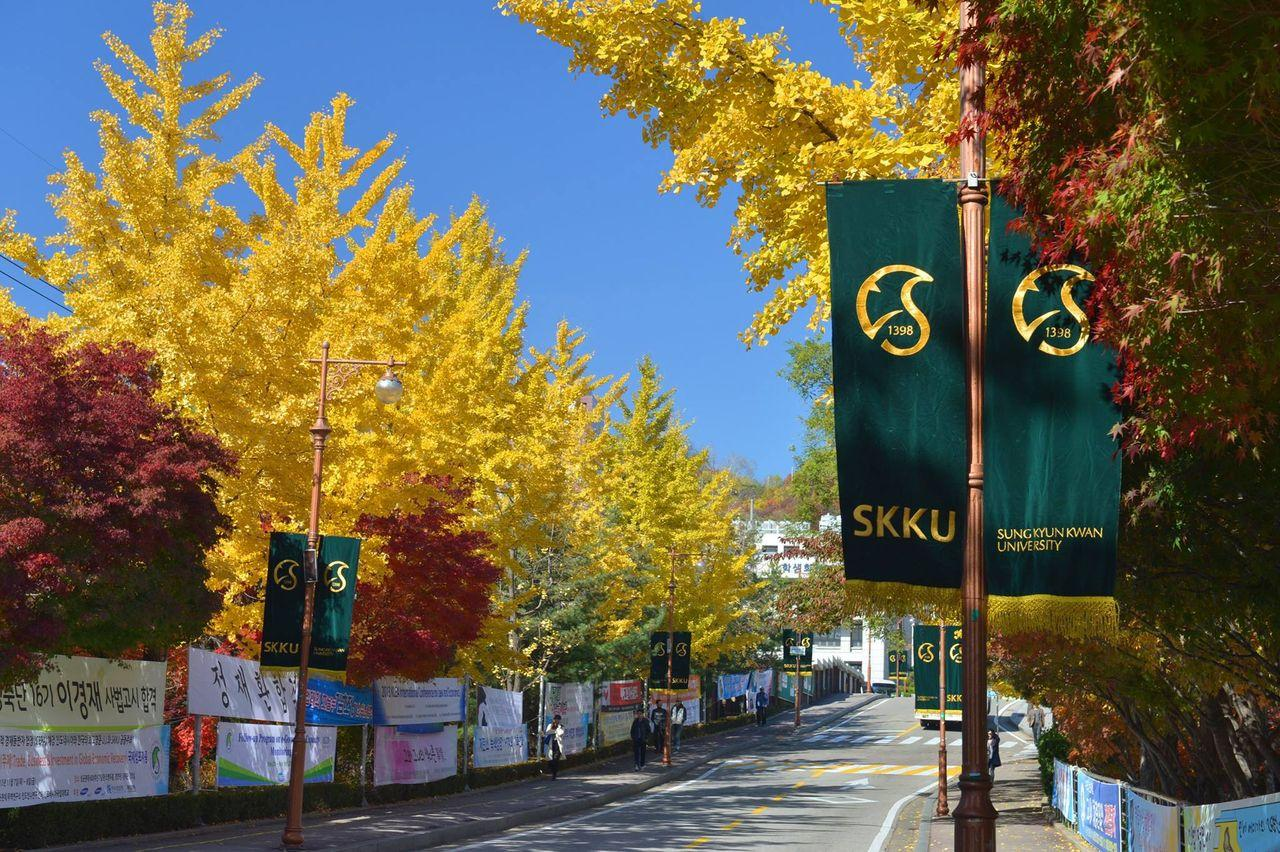 韩国本科留学申请指南:韩语零基础也能去韩国读名校