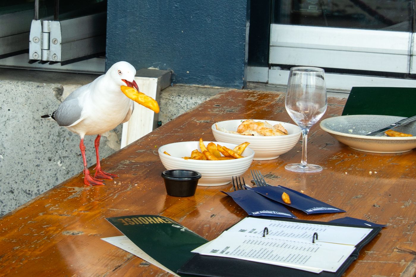 food fish chips