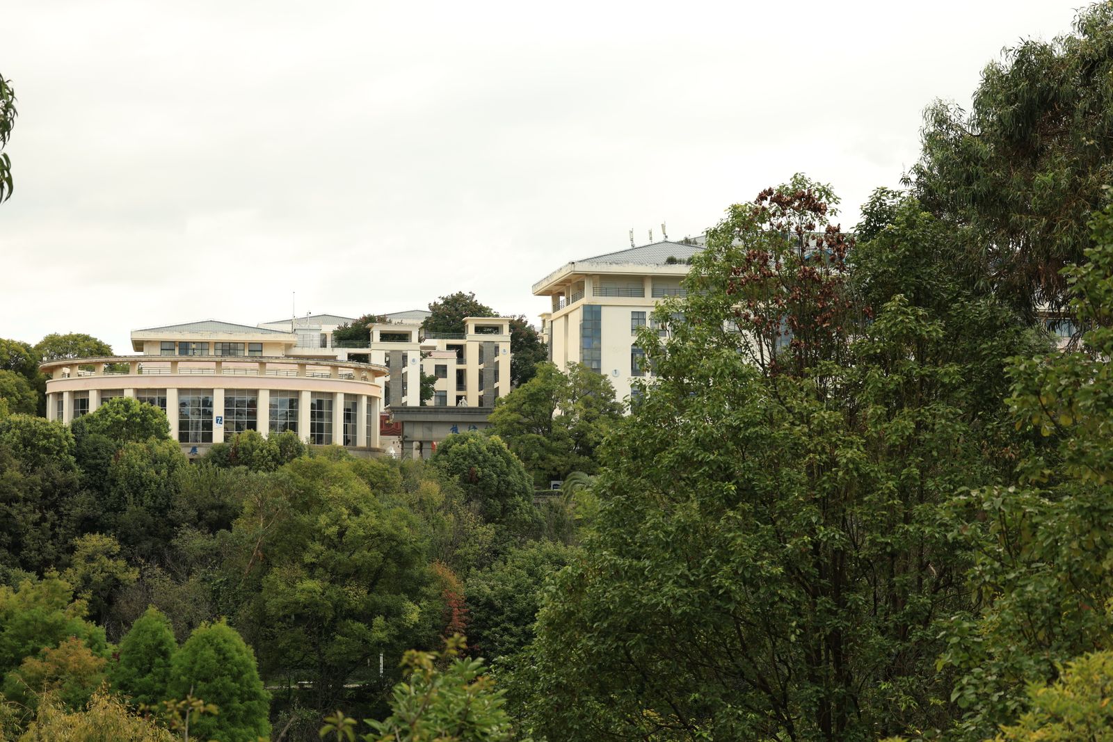 澳洲国立大学