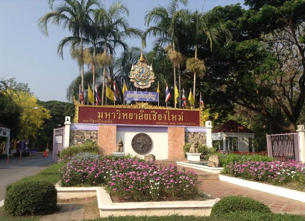 清迈大学