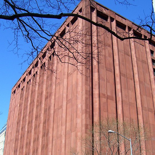 纽约大学